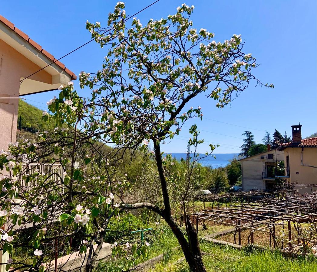 Villa Flamingo Mošćenička Draga Extérieur photo