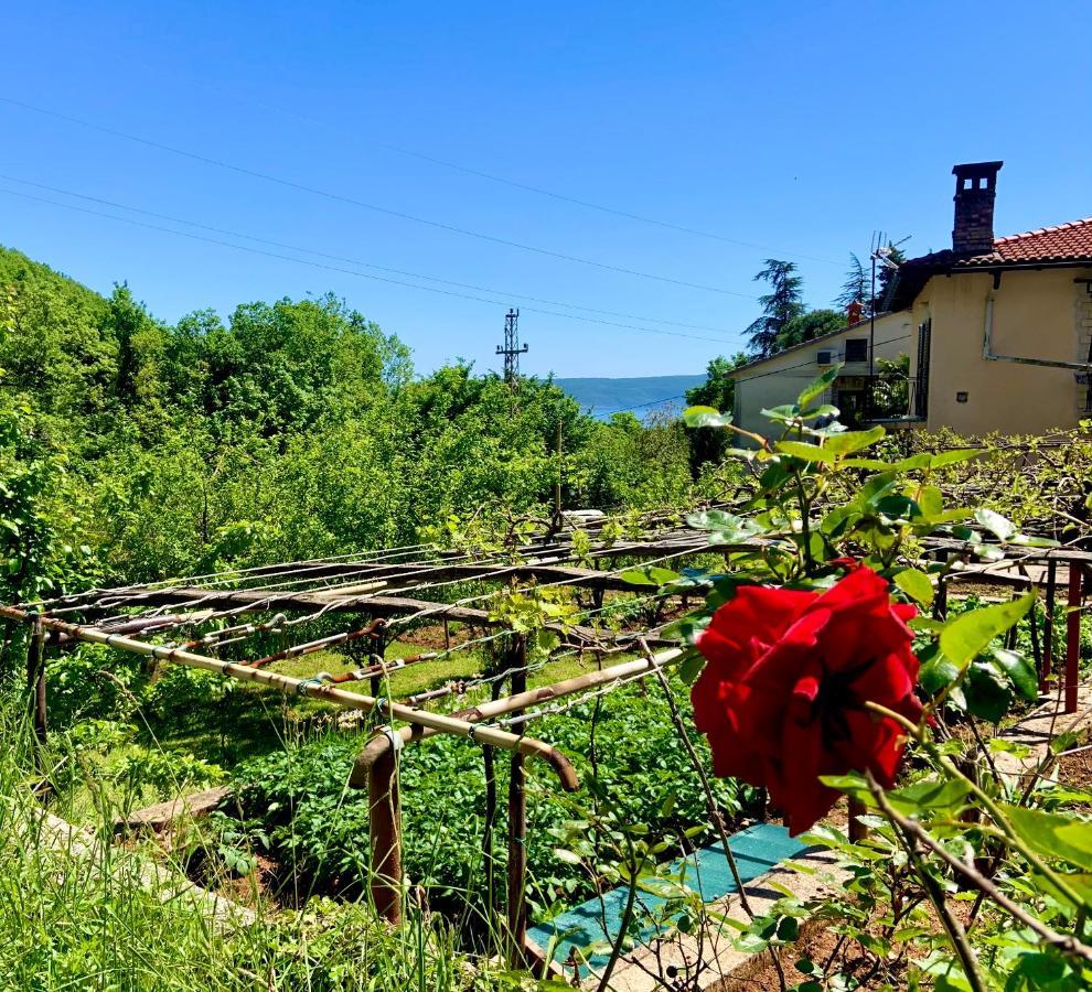 Villa Flamingo Mošćenička Draga Extérieur photo